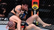 UFC252副赛：菲利斯-赫瑞格VS扬迪罗巴