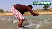 男人用自己养的土鸡，居然钓到十几条大鱼，太厉害了