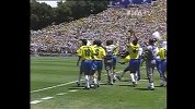 世界杯-巴西队历史百大进球之84·罗马里奥-花絮