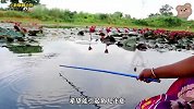 阿姨组团来吃糖钓鱼，一个一个鱼竿，结果竟收获十几斤大鱼
