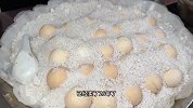 福建阿姨做“黑暗料理”，外表像鸡蛋实则有鸡仔，客人追着10个买