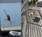 搞笑！克莱海边度假怪异姿势跳水！把爱犬Rocco吓得落荒而逃