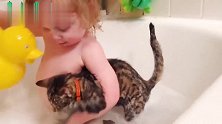 小宝宝非要抓着家里的猫咪一起洗澡，就看猫咪之后的反应，好玩了