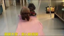 小胖子想不到自己会得奖，大意外了