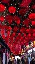 浮世万千，吾爱有三。日，月与卿。日为朝，月为暮，卿为朝朝暮暮