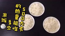 你知不知道500大卡的热量，能吃多少米饭今天就告诉你，请看