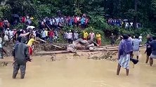 大象困在水坑里，村民迅速展开救援，因为在不救援，大象就会被淹死了！