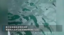 三亚居民拍到猴子潜水画面，憋气好长时间不换气