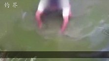 别看这鱼竿很短，钓起鱼来比4米5的鱼竿都厉害！