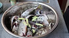 煮了一锅生鲜鱼，找老婆一起喝酒，生活虽然简单但真的很幸福