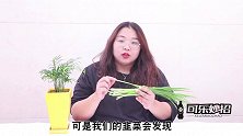 买韭菜时，挑紫根的还是白根的好多亏良心商家提醒，别再瞎吃了
