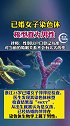 已婚女子染色体 核型查为男性，律师称她在法律意义上仍为女性，婚姻 关系不会有太大改变