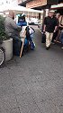 德国的无家可归者越来越多，大部分情况都不容乐观！德国