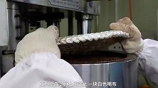 揭秘香油加工过程，先将芝麻炒制焦香，再送进榨油机中榨取