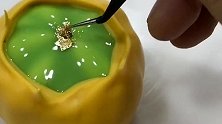 爱上慕斯的味道，有钱人喜欢用金箔当点缀，瞬间提升甜品的颜值！