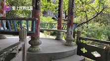 下午1点38分，福建深山石头缝里发现两条“龙”，大家快来看看