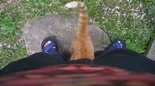 公园偶遇一只超粘人的橘猫，粘着就不走了，太可爱了！
