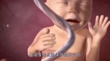 为什么都说新生儿哭声越大越健康，是真的吗？听听专家怎么说！