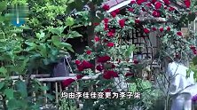 李子柒公司工商变更 李子柒疑将本名改为艺名