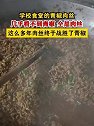 湘西：学校食堂的青椒肉丝，几乎看不到青椒，全是肉丝