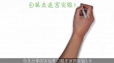 趣味科普：心理学趣实验之白鼠走迷宫3.0