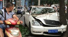 女司机停车撞树，换上后座男司机，一顿操作让所有人心慌！