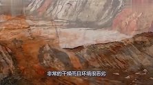 南极沙漠冒血水，血从哪来科学家称地底下有东西