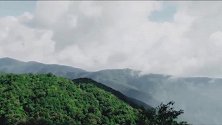 国风韵洗脑混剪，前半段风情万种，后半段鼻青脸肿