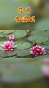 花开香满城
