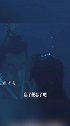一曲小狐狸一往情深血海深仇都是你该怎么办呢？