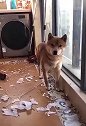 激情与放纵之后的瑟瑟发抖