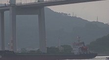 航拍虎门大桥通航水域恢复通航：船只排队从桥底穿过