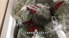 山野菜的饺子？特别的好吃！饭店里吃不到的味道！