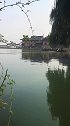 江南水乡鱼米之乡！