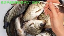 鱼漂不是跳舞就是不动，这些锦囊妙计赶紧收藏，帮你解决难题