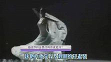 看到杨丽萍跳舞，再看看金星的舞姿，网友：完全不是一个层次！