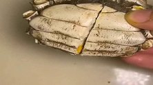 这螃蟹是假的吧，掰开之后里面全是黄，太值了吧！
