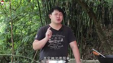 想做“葱葱鲫鱼”就来看这，接地气的家常做法，简单易学