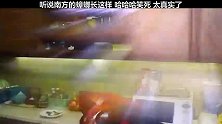 据说这是南方蟑螂的真实写照
