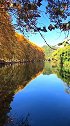秋天来了，黄金大道绽放属于他的美。这么美的风景，你在哪里？