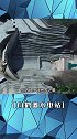 白鹤滩水电站2022年建成，你说电费会降吗？