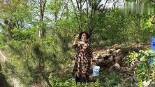槐树花中打入6个鸡蛋，不蒸也不烙，妈妈简单一做，出锅给肉不换