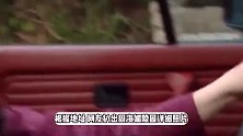 周海媚所葬陵园环境曝光，风景宜人名人扎堆，被称为“天价墓地”