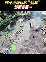 广西玉林：鸭子池塘玩水“翻车”