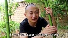 7斤乳猪5斤炭，大冬做脆皮烤乳猪，小火慢烤3小时，皮脆肉嫩