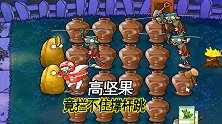 植物大战僵尸53：高坚果的防御力不行啊，被撑杆跳轻松跳过去