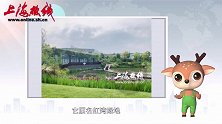 魔都100：红粉黛草如梦如幻 打卡虹口最北面的公园