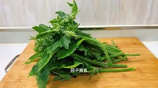 南瓜藤您吃过吗大厨教你炒青菜技巧，碧绿脆爽不发黑，营养美味