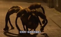 男子用恐龙模具恶搞路人,路人竟然信以为真,吓得直接跳进河流中