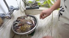 超小厨198元买5斤梭子蟹，搭配姜葱炒一锅，螃蟹这样啃真过瘾